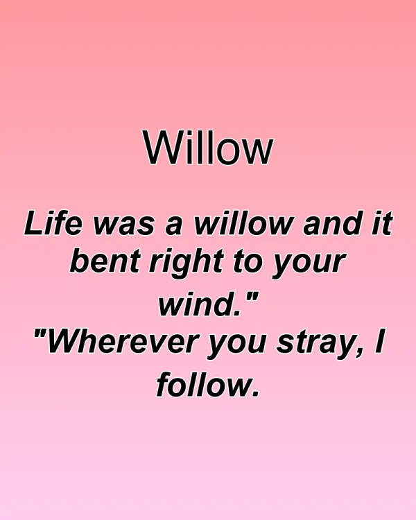 Willow - ranking option ranked #14