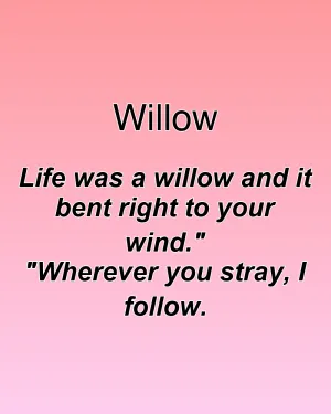 Willow — ranked #14
