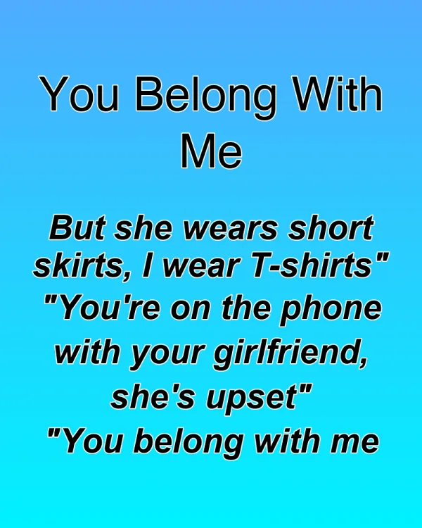 You Belong With Me - ranking option ranked #17