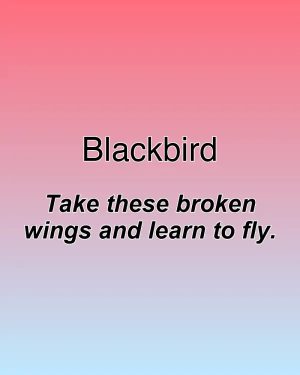 Blackbird - ranking option ranked #12