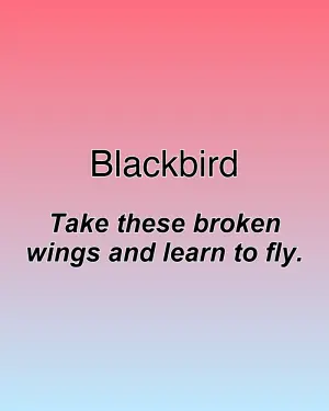 Blackbird — ranked #12