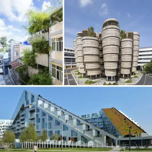Sustainable Architecture — ranked #20