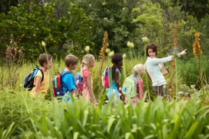 School field trips — ranked #16