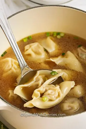 Wonton Soup — ranked #13