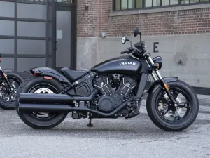 Cruiser — ranked #2