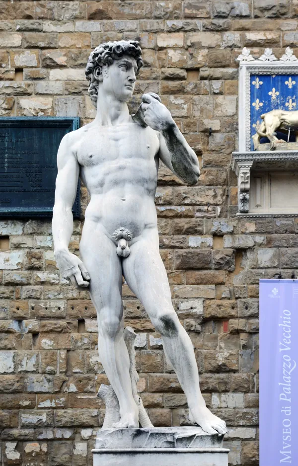 David by Michelangelo - ranking option ranked #7