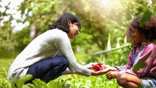 Generosity - ranking option ranked #14