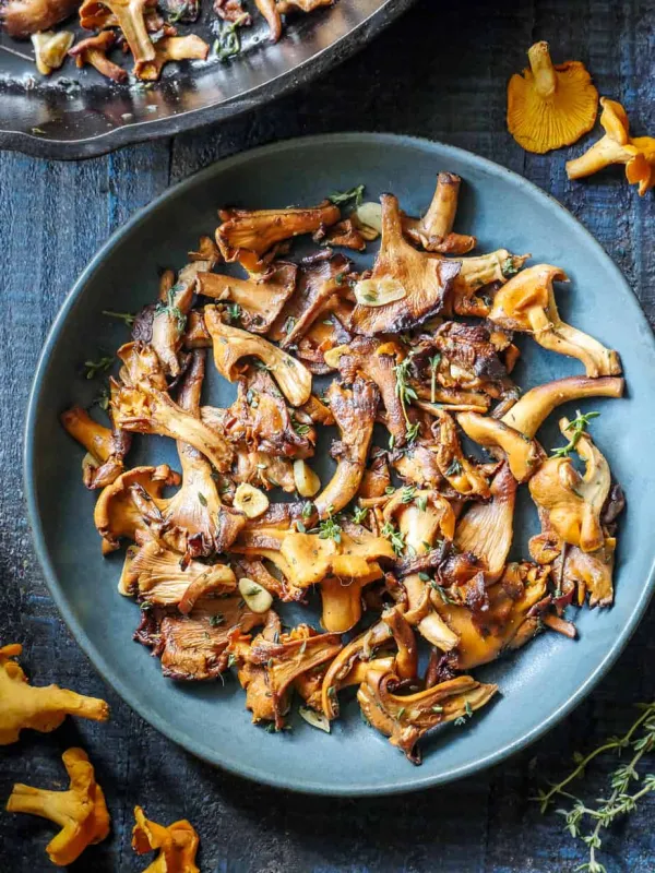 Chanterelle - ranking option ranked #3