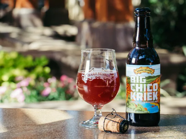 Sour Beer - ranking option ranked #10
