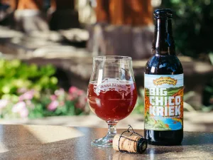 Sour Beer — ranked #10