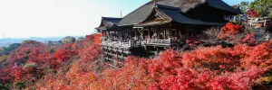 Kyoto — ranked #19