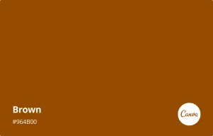 Brown — ranked #11