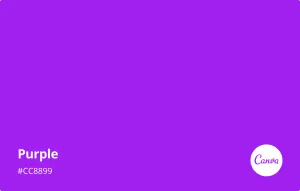 Purple — ranked #6