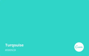 Turquoise — ranked #12