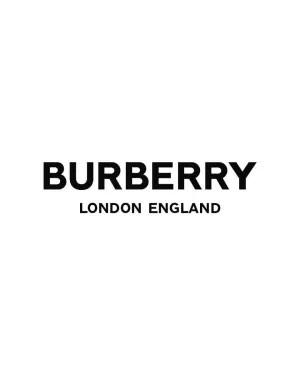 Burberry — ranked #14