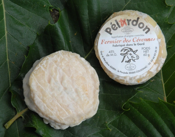 Pélardon - ranking option ranked #23