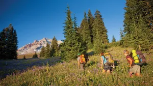 Pacific Crest Trail — ranked #2