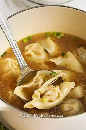 Wonton — ranked #16