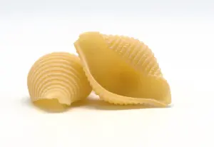Conchiglie — ranked #11