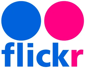 Flickr — ranked #30