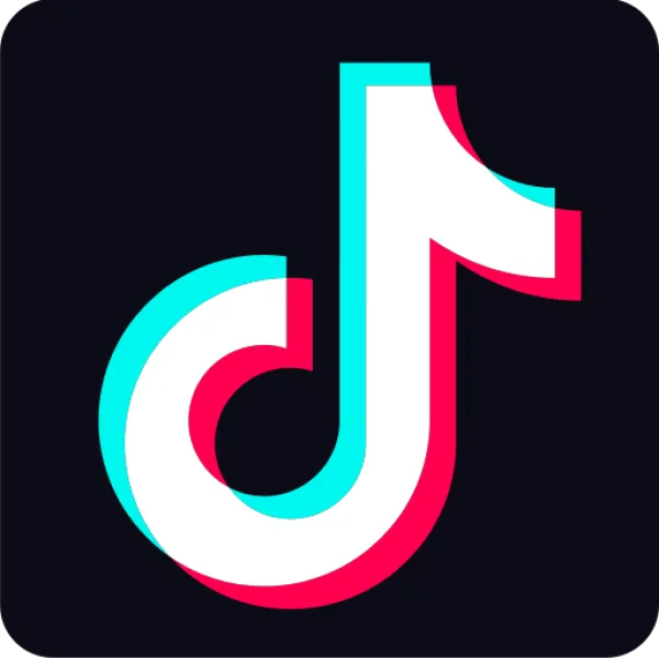 TikTok - ranking option ranked #2