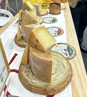Queso Manchego — ranked #16