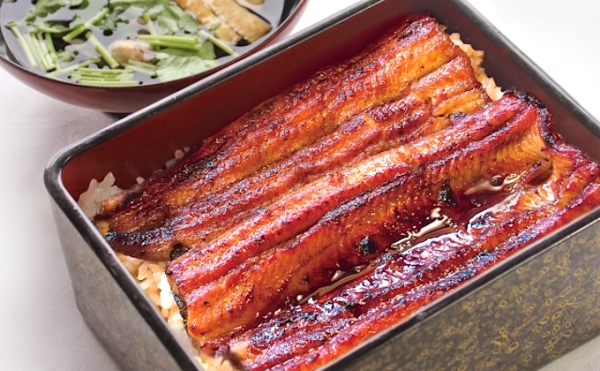 Eel (Unagi) - ranking option ranked #5