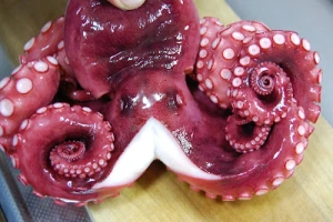 Octopus (Tako) — ranked #7