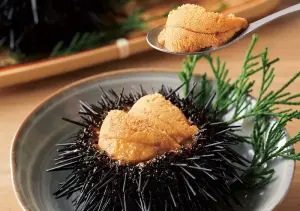 Sea Urchin (Uni) — ranked #9
