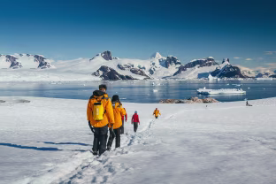 Antarctica - ranking option ranked #51