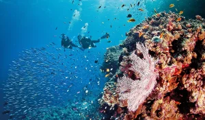 Great Barrier Reef — ranked #28