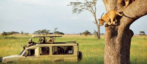 Serengeti National Park — ranked #44
