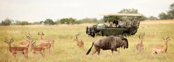 Kruger National Park, South Africa - ranking option ranked #8