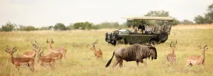 Kruger National Park, South Africa — ranked #8