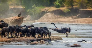 Serengeti, Tanzania — ranked #5