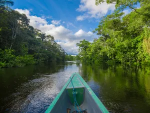 Amazon Rainforest — ranked #11