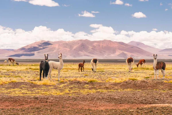 Atacama Desert, Chile - ranking option ranked #14
