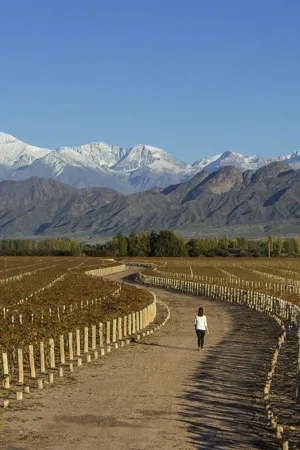 Mendoza, Argentina — ranked #15