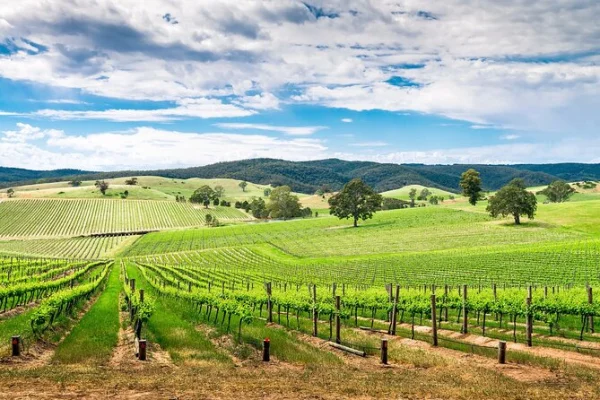 Barossa Valley (Australia) - ranking option ranked #12
