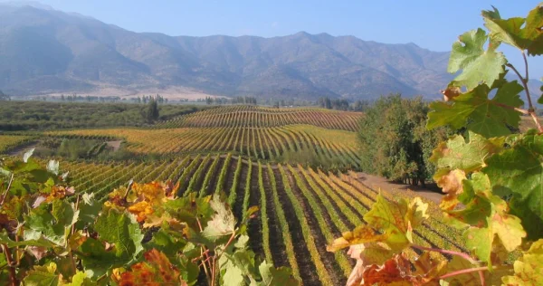 Colchagua Valley (Chile) - ranking option ranked #15