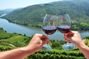 Douro Valley (Portugal) — ranked #10