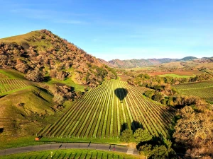 Napa Valley (California) — ranked #6