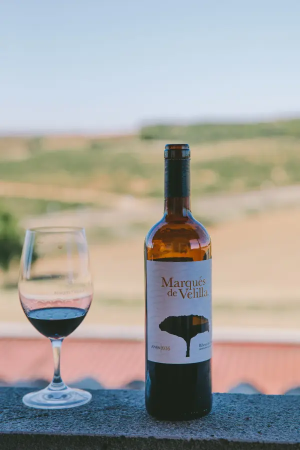 Ribera del Duero (Spain) - ranking option ranked #9