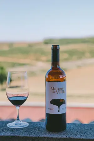 Ribera del Duero (Spain) — ranked #9