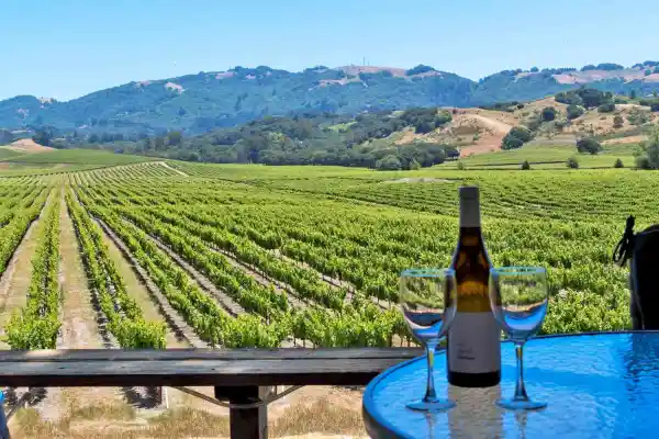 Sonoma (California) - ranking option ranked #7