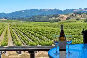 Sonoma (California) — ranked #7