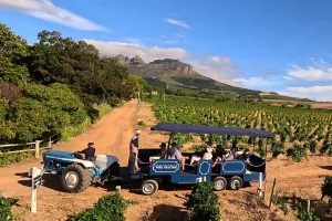 Stellenbosch (South Africa) — ranked #16