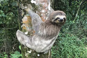 Sloth — ranked #19