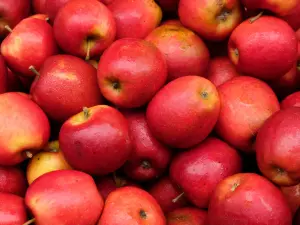 Apple — ranked #6