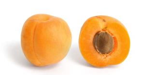 Apricot — ranked #26